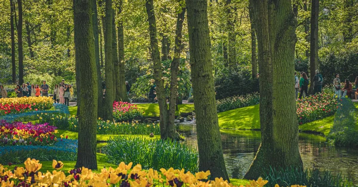 Los beneficios de la jardinería para la salud mental