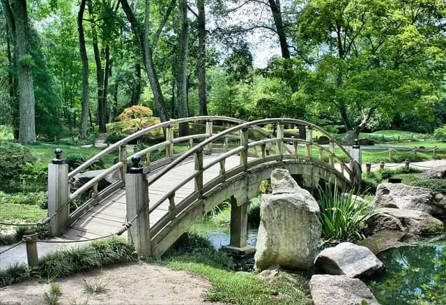 Top 10 herramientas esenciales para jardineros