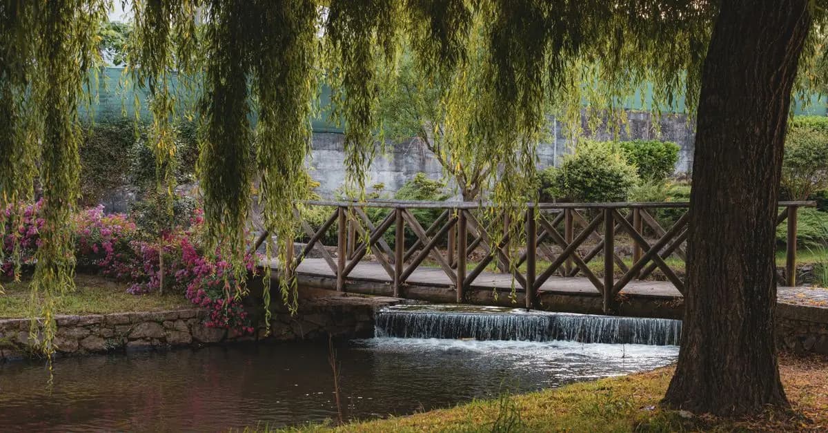 Cómo aprovechar al máximo los pequeños espacios en tu jardín