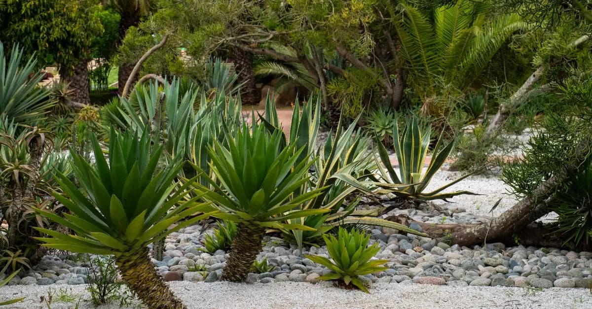 10 plantas autóctonas que mejorarán tu jardín