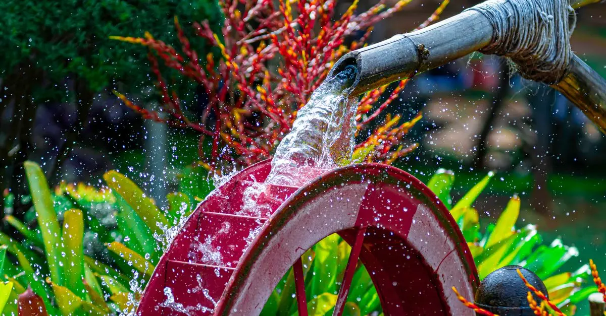 La importancia del agua de lluvia en el riego del jardín