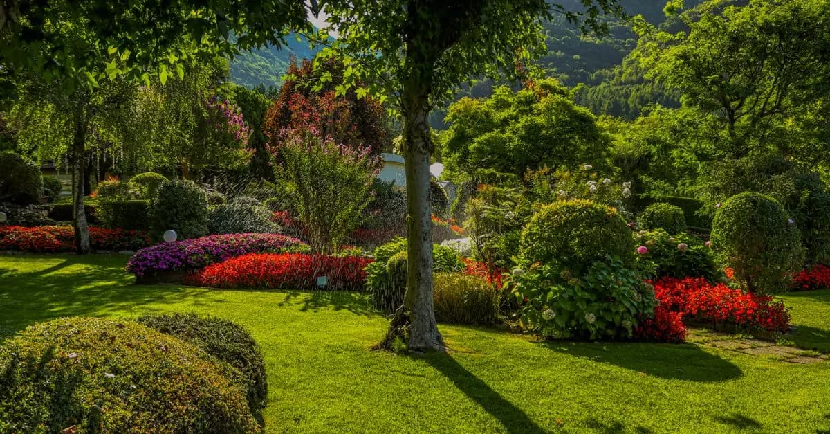 10 errores comunes al diseñar un jardín y cómo evitarlos
