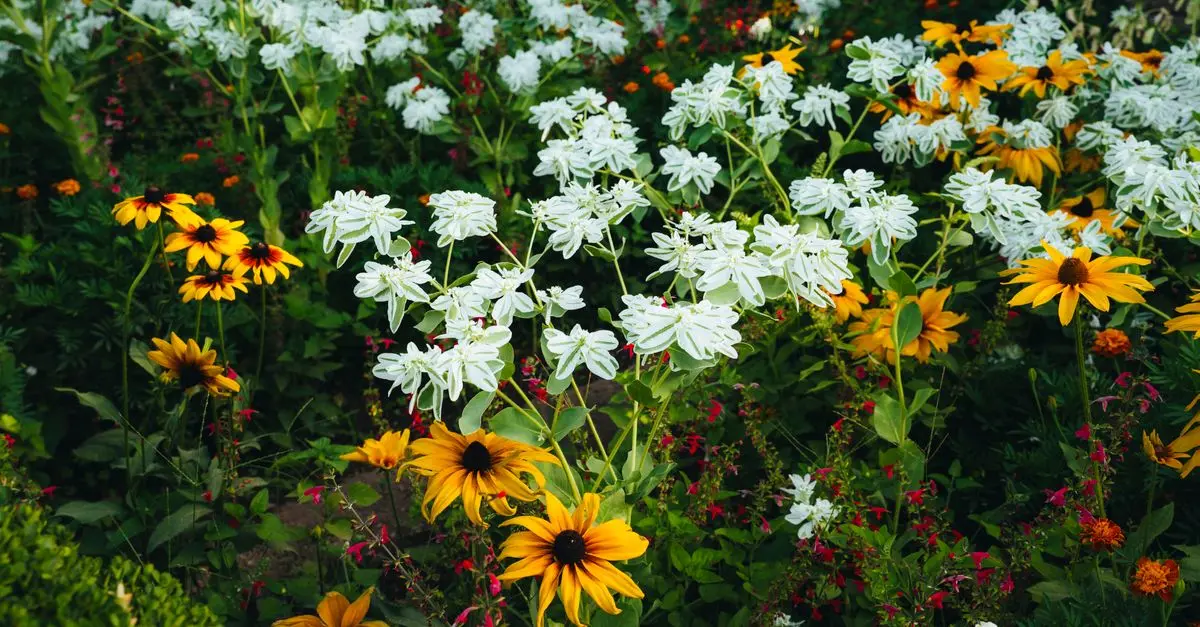 Cómo elegir las plantas adecuadas para tu jardín en climas cálidos