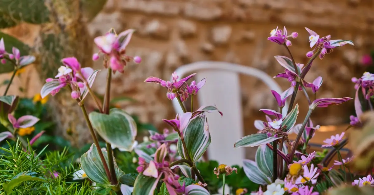 Cómo seleccionar las plantas ideales para tu jardín