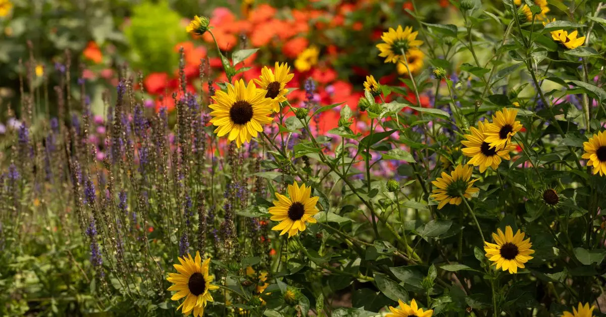 Cómo elegir las plantas adecuadas para cada estación del año