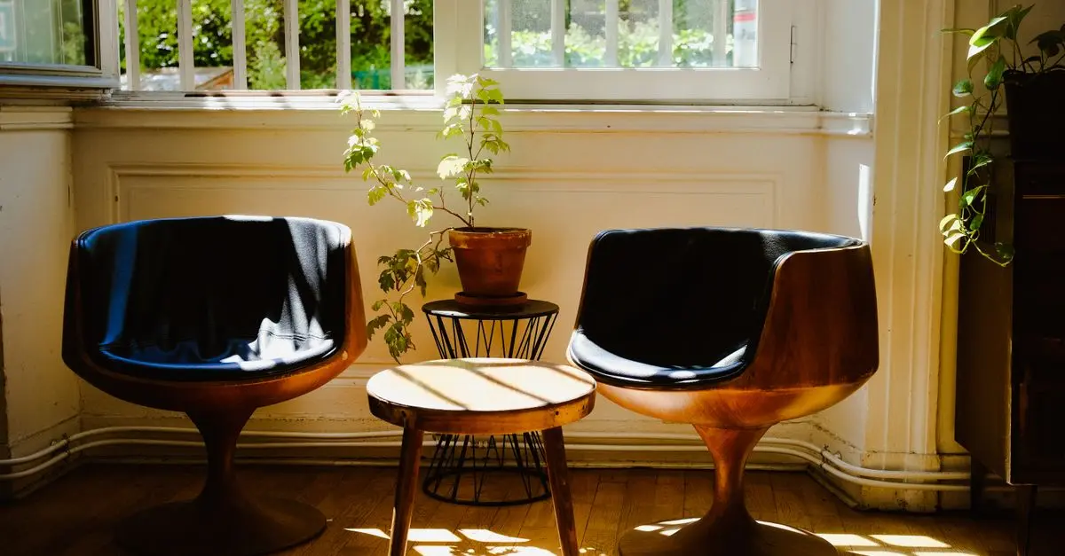 Cómo elegir las mejores plantas de interior para tu hogar