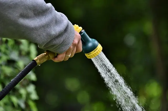 Cómo aprovechar al máximo el riego en tu jardín