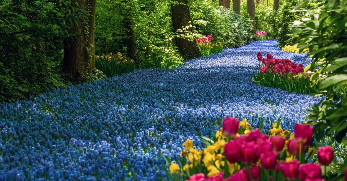 Cómo renovar tu jardín en primavera: consejos y guías