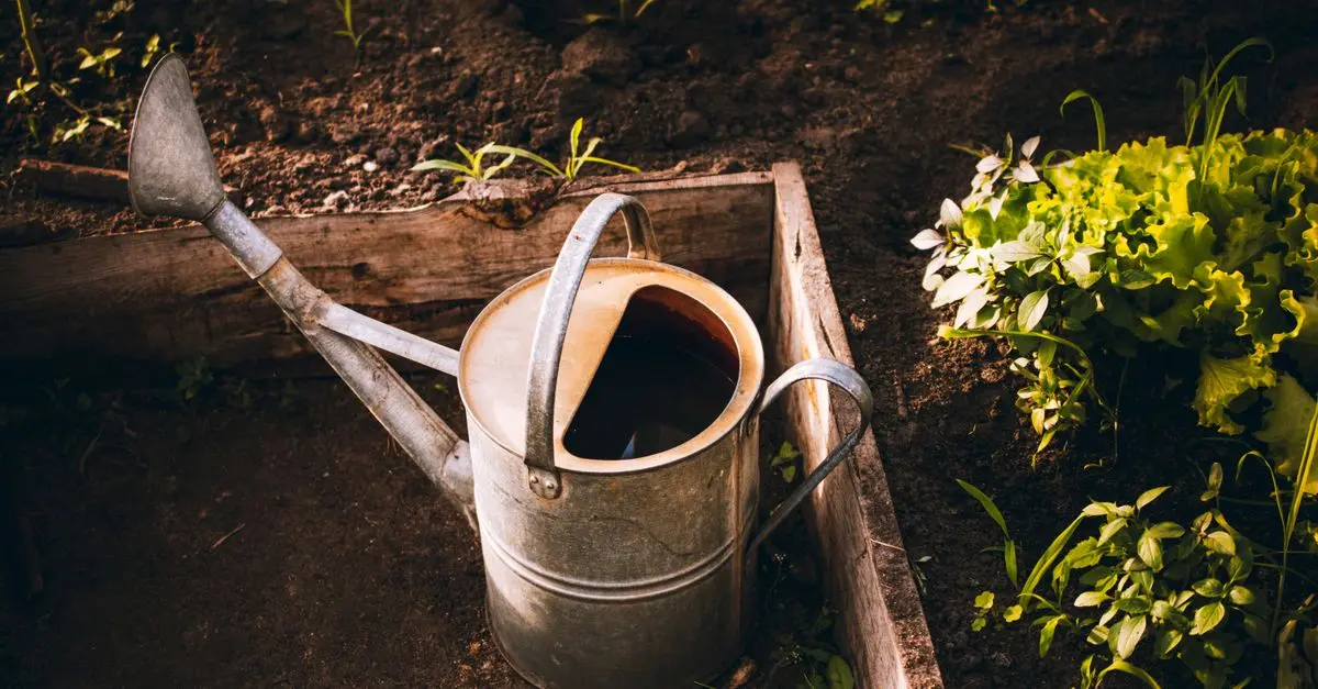 Cómo elegir las herramientas adecuadas para tu jardín: guía completa