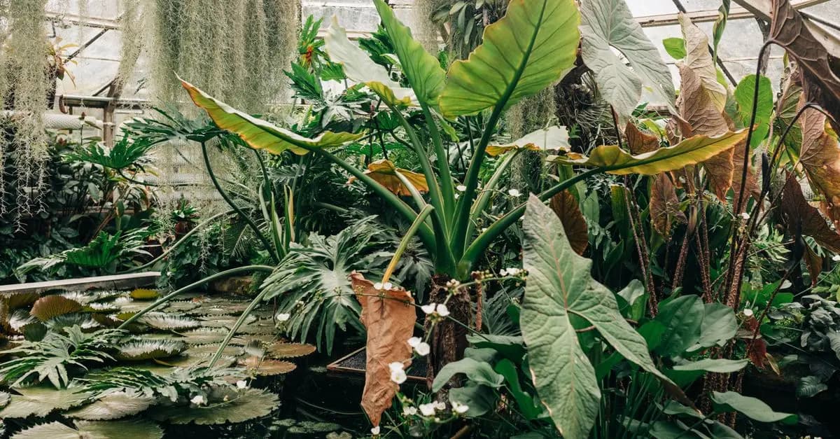 Cómo mejorar la biodiversidad en tu jardín