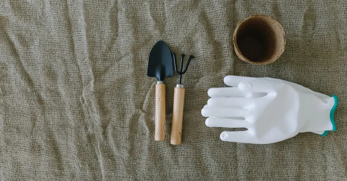 Cómo elegir las herramientas adecuadas para jardinería
