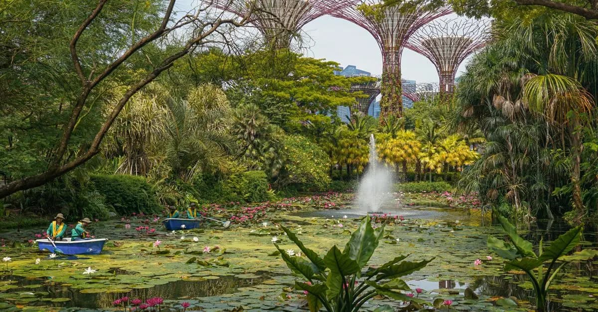 Usos del mulch en el cuidado del jardín