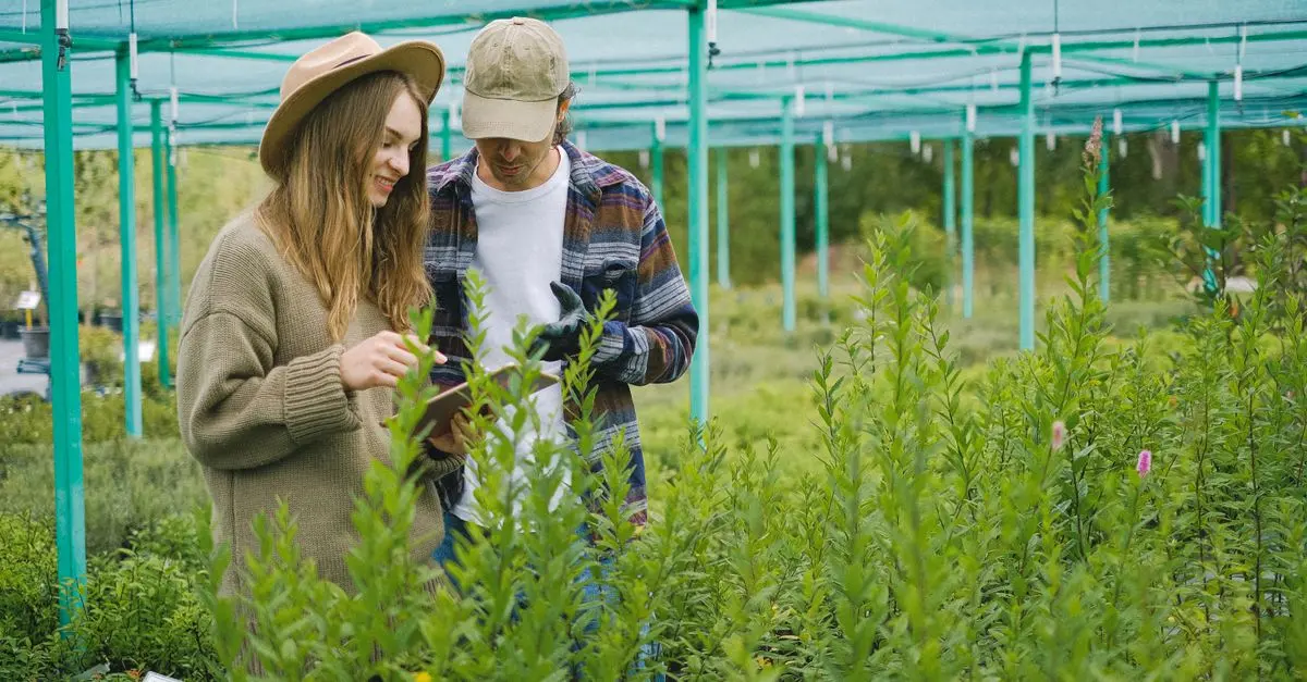 La permacultura y su rol en la jardinería moderna
