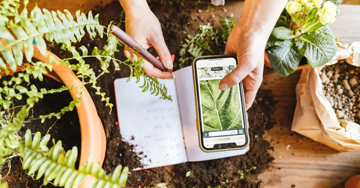 Análisis de herramientas inteligentes para el jardín