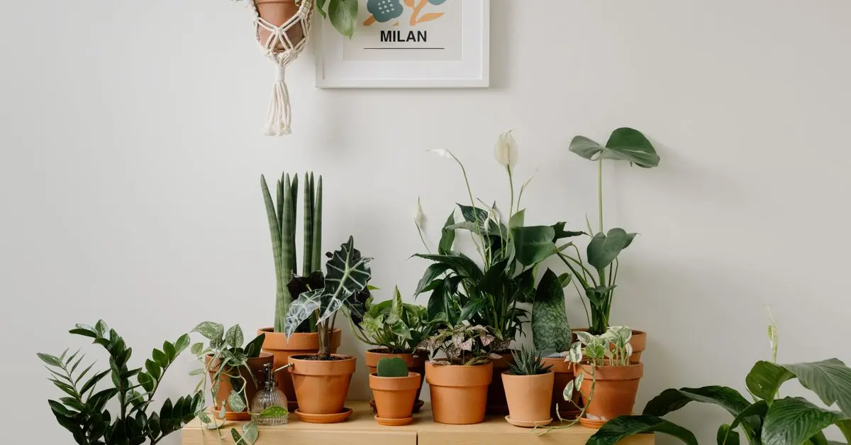 Cómo hacer un jardinero vertical en casa: guía práctica