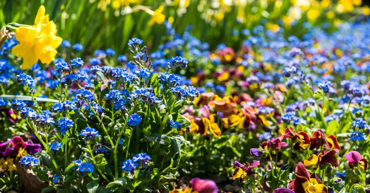 7 errores comunes al cuidar tu jardín y cómo evitarlos