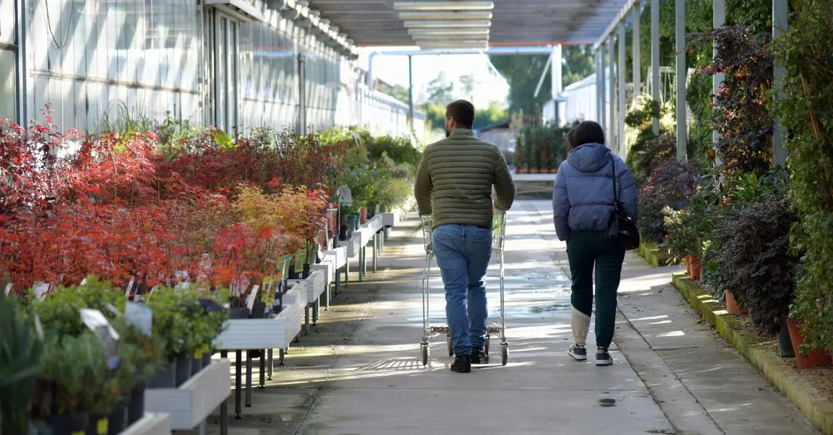 Cómo deshacerse de plagas de manera natural en tu jardín