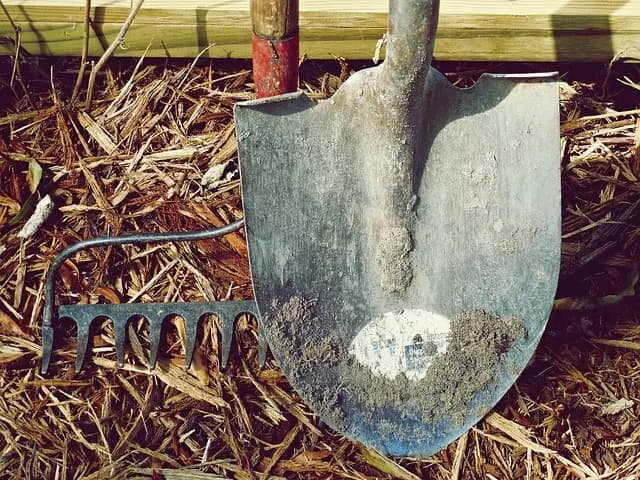 Cómo elegir las herramientas adecuadas para tu jardín