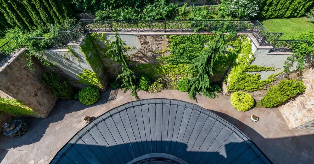 Cómo hacer un jardín vertical en casa: guía práctica