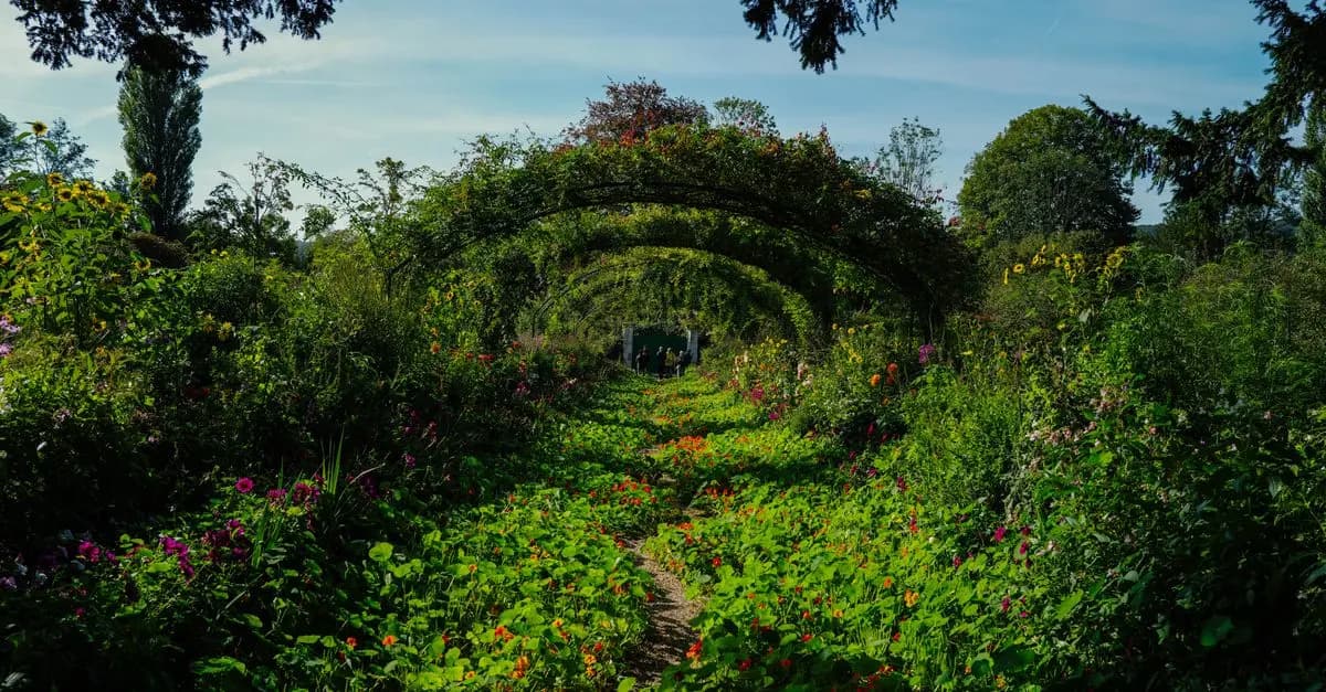 Cómo elegir las plantas adecuadas para tu jardín