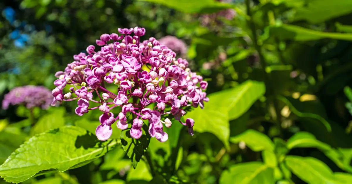 Cómo seleccionar las plantas perfectas para cada época del año