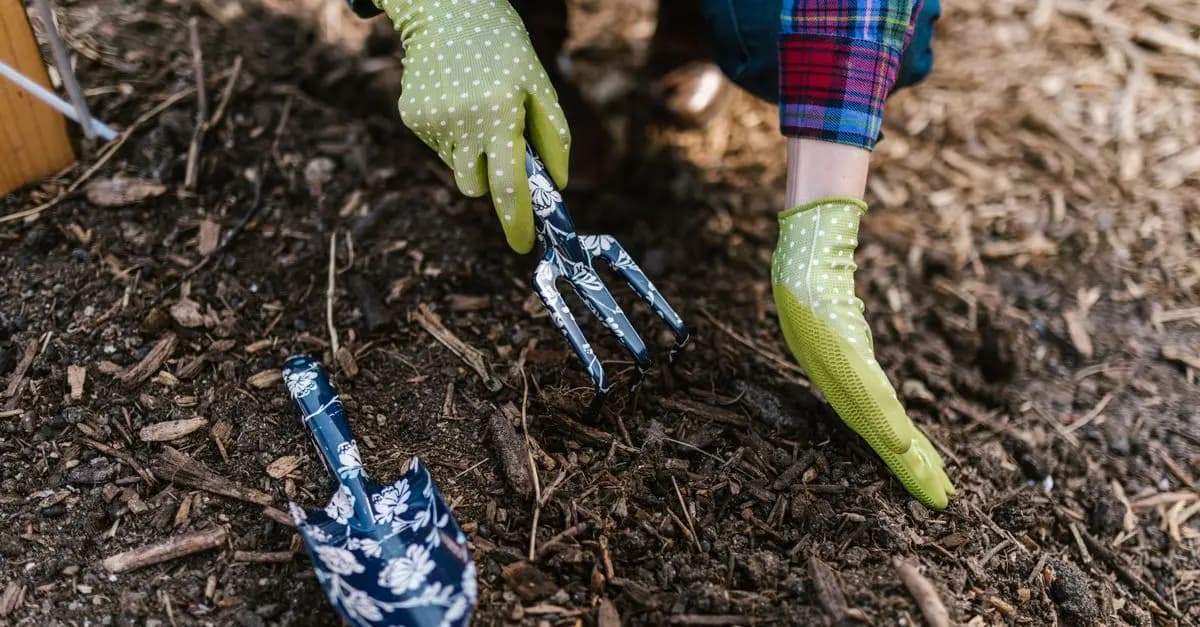 Cómo elegir las herramientas adecuadas para jardinería