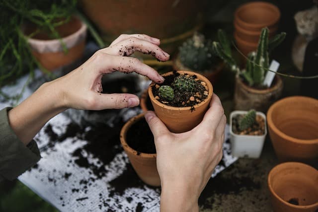 Cómo mejorar el suelo para un jardín saludable y productivo