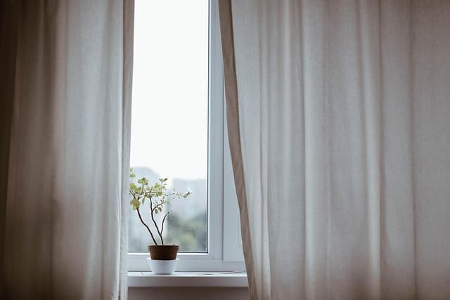 5 consejos para mantener tus plantas felices y saludables